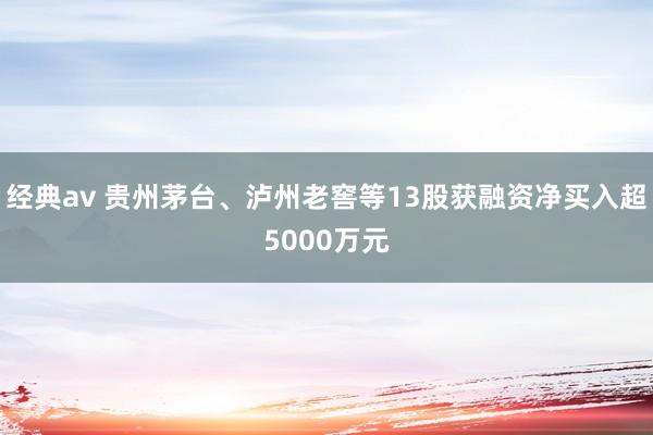 经典av 贵州茅台、泸州老窖等13股获融资净买入超5000万元