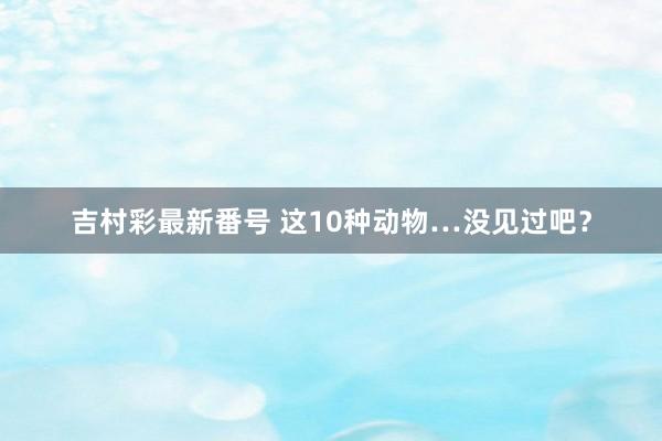 吉村彩最新番号 这10种动物…没见过吧？