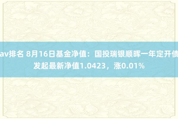 av排名 8月16日基金净值：国投瑞银顺晖一年定开债发起最新净值1.0423，涨0.01%