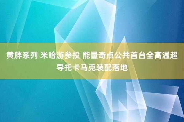 黄胖系列 米哈游参投 能量奇点公共首台全高温超导托卡马克装配落地