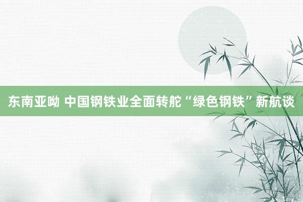 东南亚呦 中国钢铁业全面转舵“绿色钢铁”新航谈