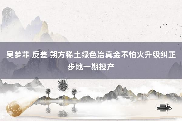 吴梦菲 反差 朔方稀土绿色冶真金不怕火升级纠正步地一期投产