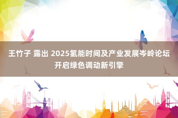 王竹子 露出 2025氢能时间及产业发展岑岭论坛开启绿色调动新引擎