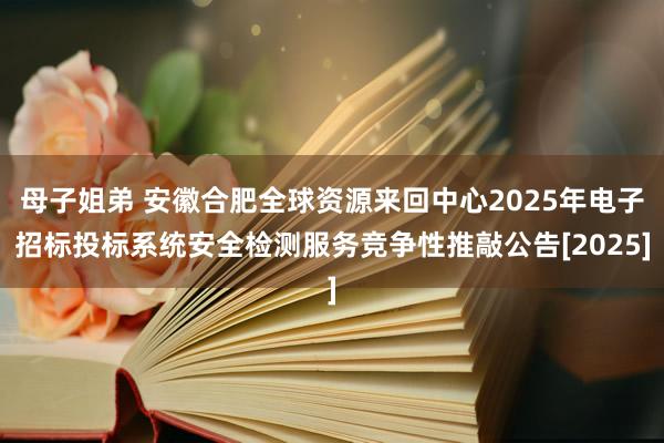母子姐弟 安徽合肥全球资源来回中心2025年电子招标投标系统安全检测服务竞争性推敲公告[2025]