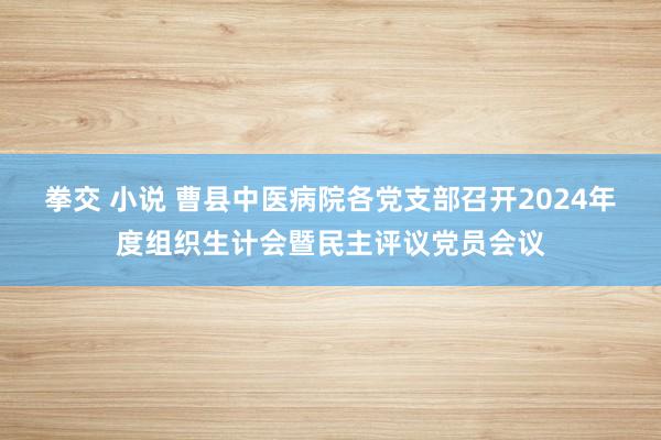 拳交 小说 曹县中医病院各党支部召开2024年度组织生计会暨民主评议党员会议