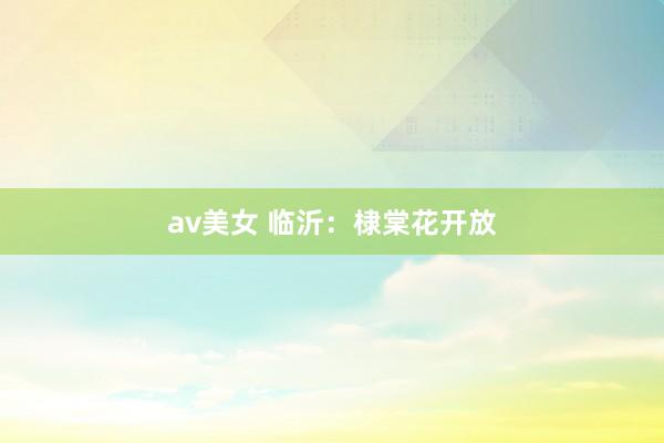 av美女 临沂：棣棠花开放
