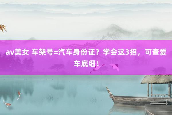 av美女 车架号=汽车身份证？学会这3招，可查爱车底细！