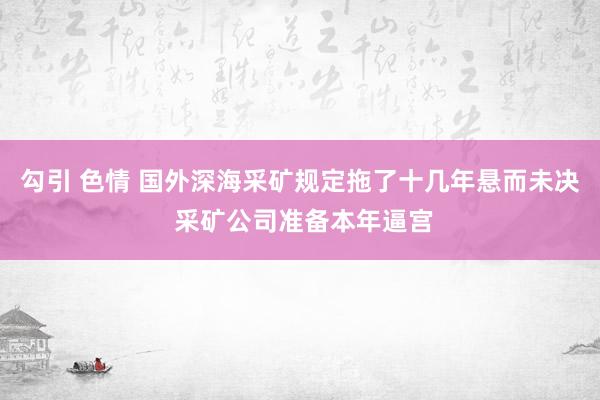 勾引 色情 国外深海采矿规定拖了十几年悬而未决 采矿公司准备本年逼宫